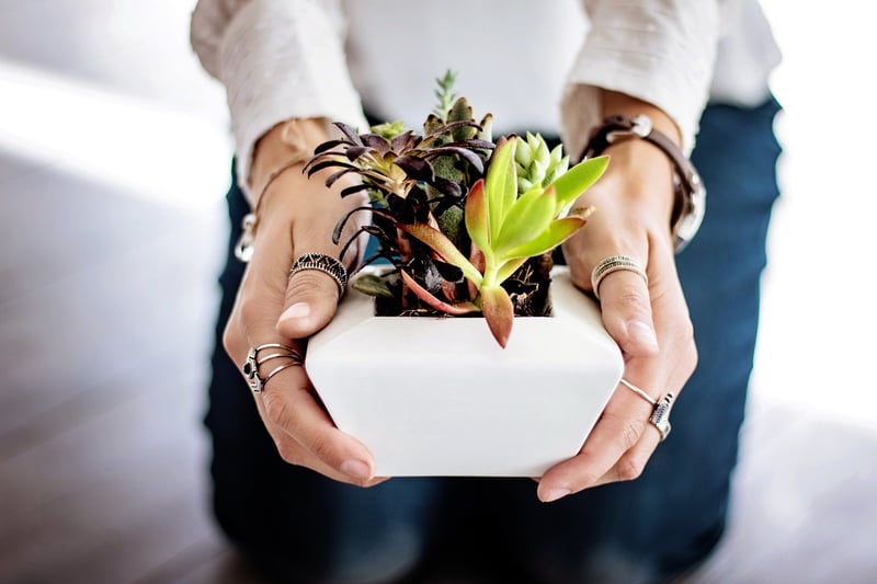 Seasonal planting