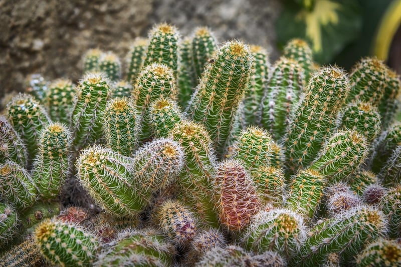 Herb Spiral